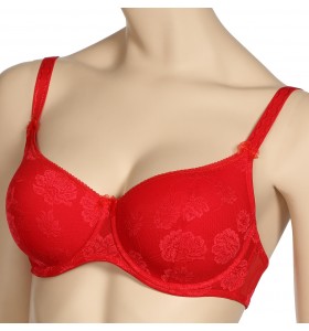 Бюстгальтер 0204