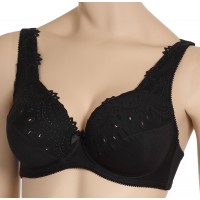 Бюстгальтер - 0246 Бюстгальтер - 0246