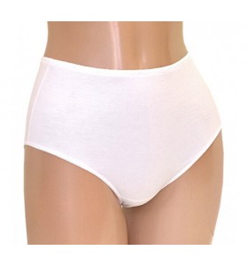 Трусы женские - 0623-1 Трусы женские - 0623-1